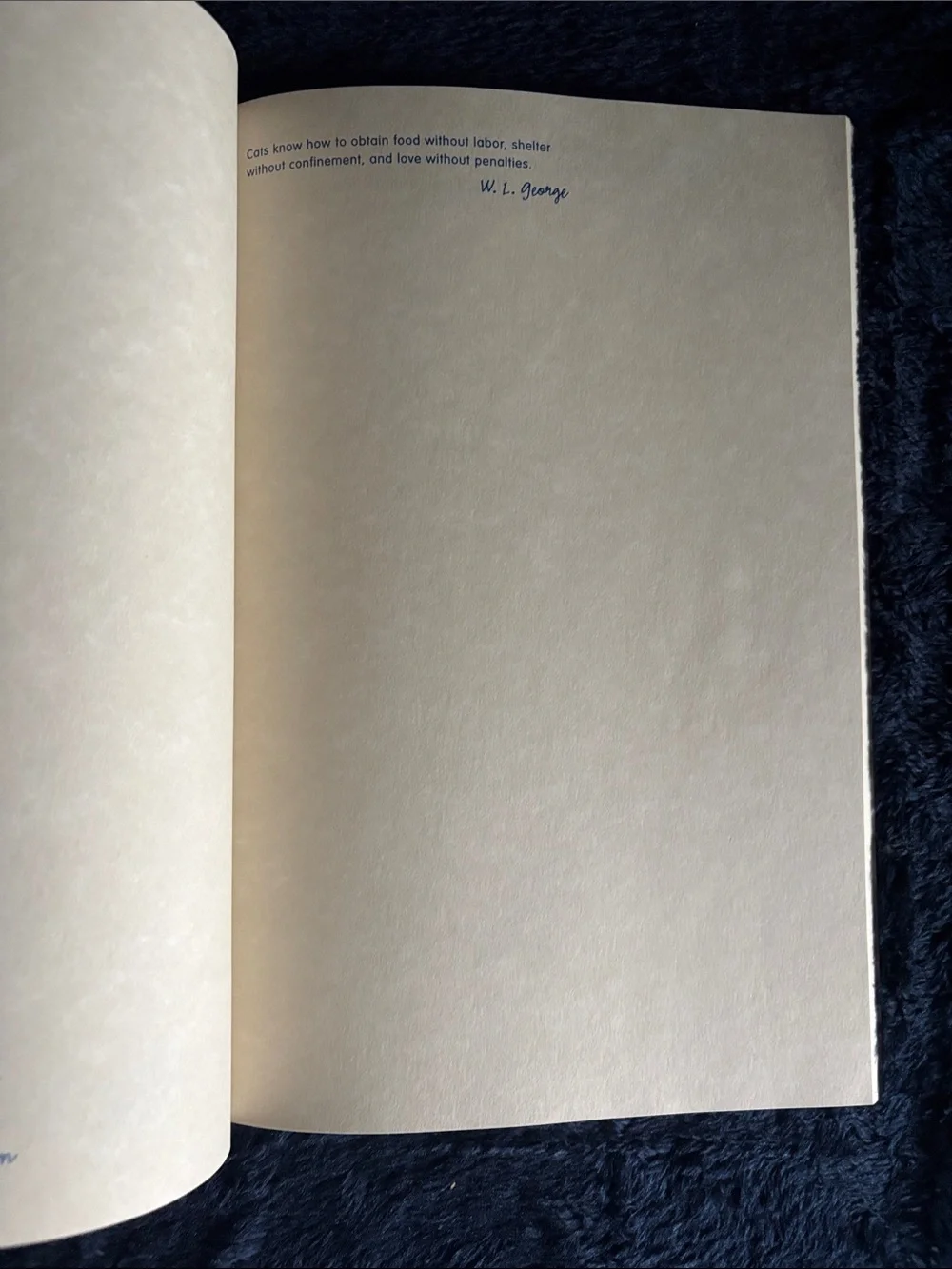N/A brown illustrated